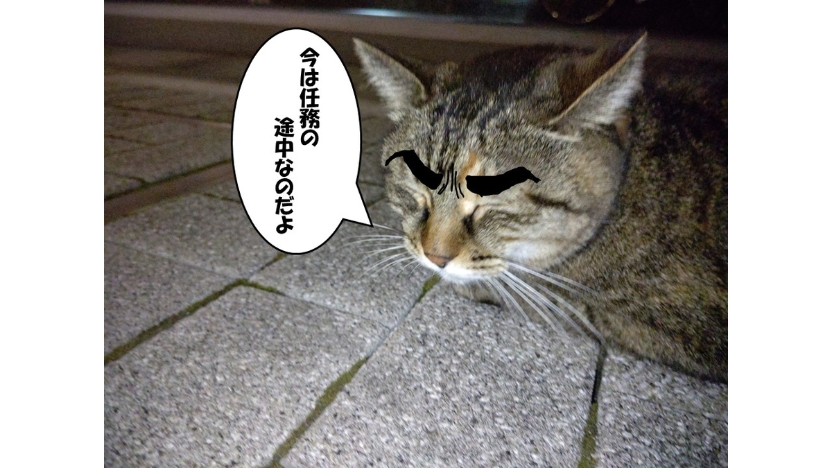 f:id:mikyo-ya:20211012092601j:plain