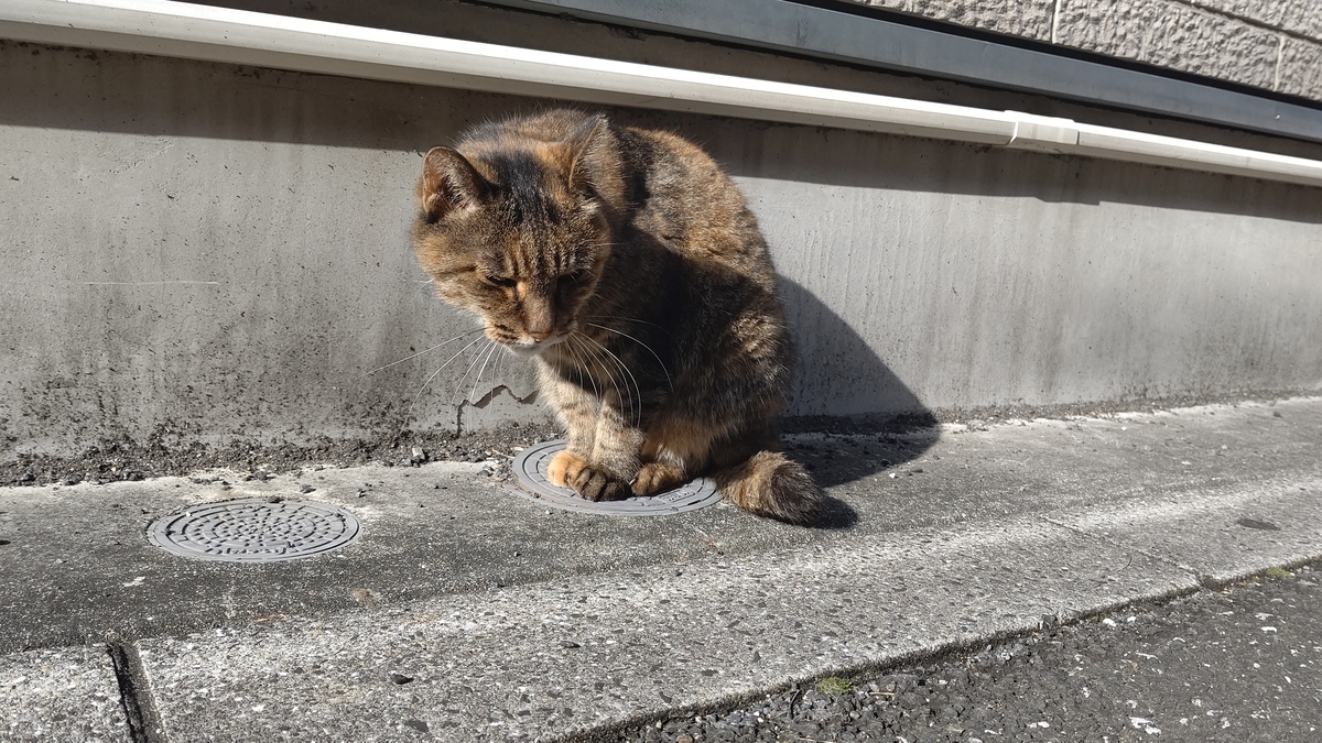 f:id:mikyo-ya:20211112084213j:plain