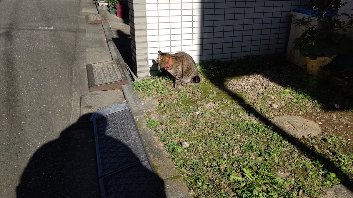 f:id:mikyo-ya:20211119085747j:plain