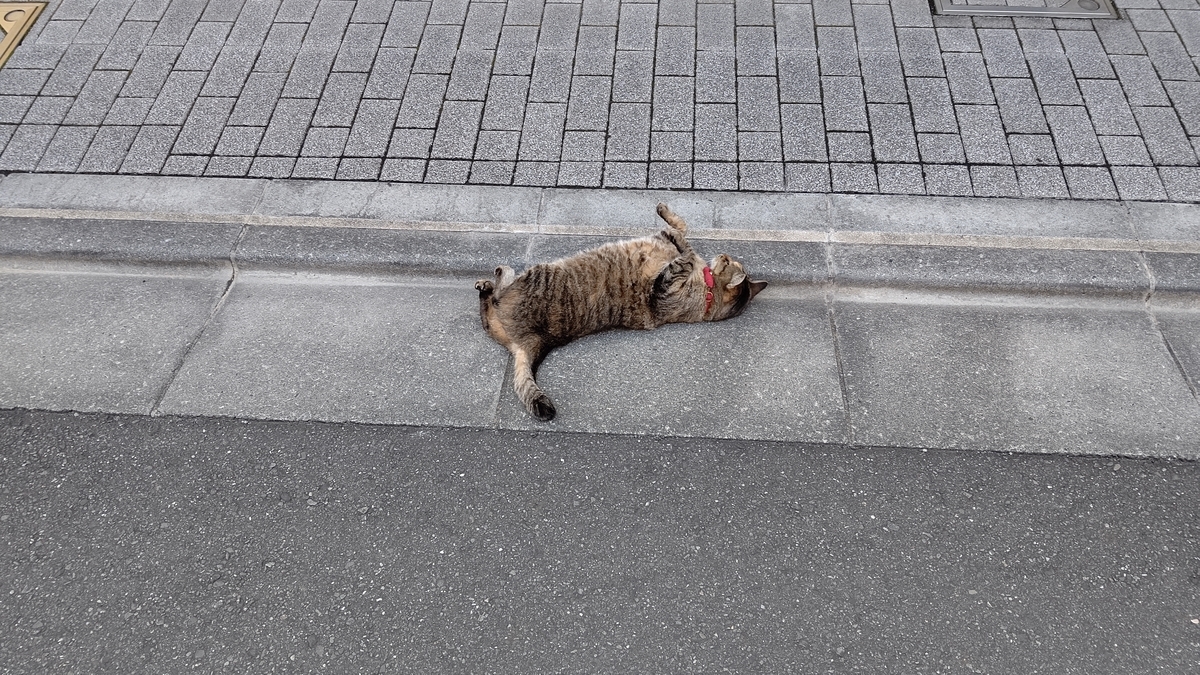 f:id:mikyo-ya:20211126084519j:plain
