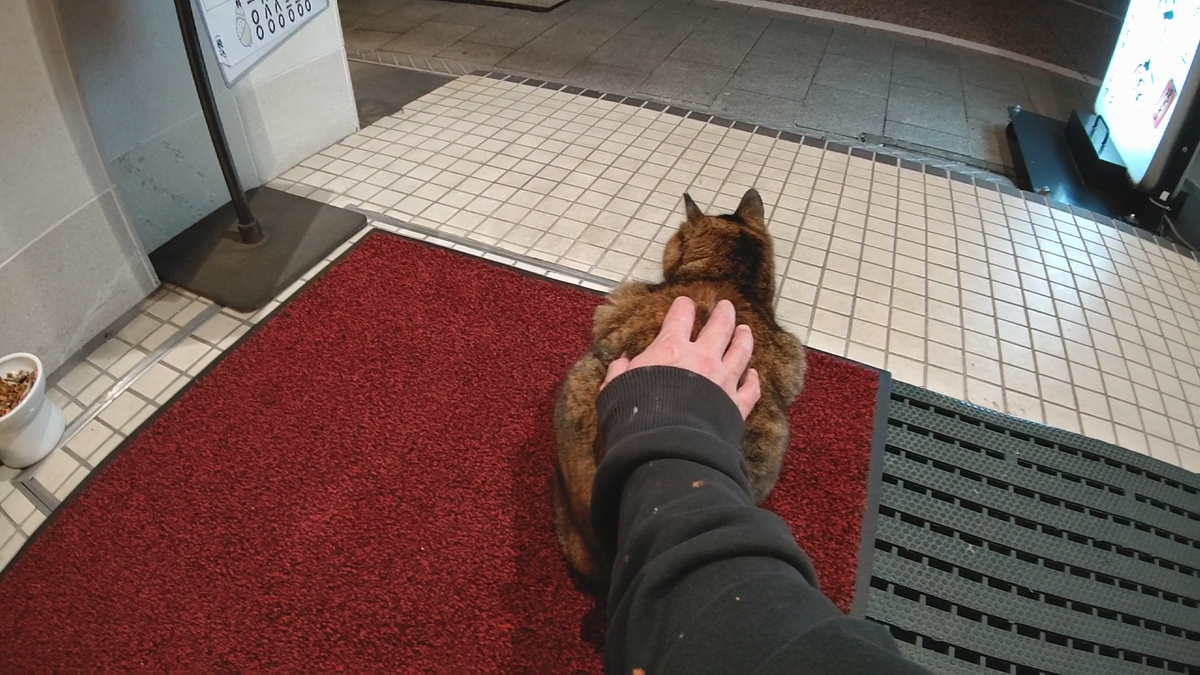 f:id:mikyo-ya:20220126091915p:plain