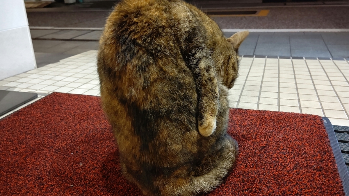 f:id:mikyo-ya:20220216091026j:plain