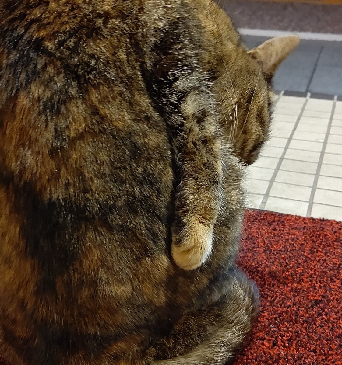 f:id:mikyo-ya:20220216091132j:plain