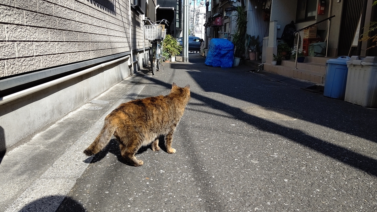 f:id:mikyo-ya:20220224083911j:plain
