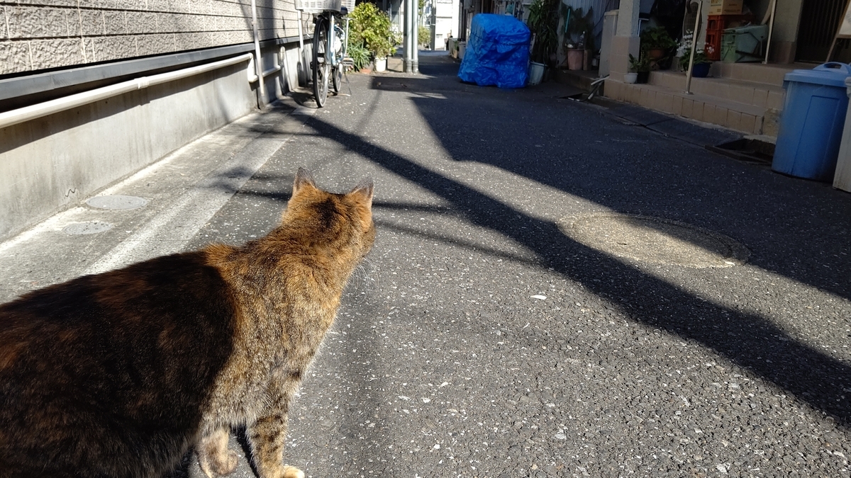 f:id:mikyo-ya:20220224083954j:plain