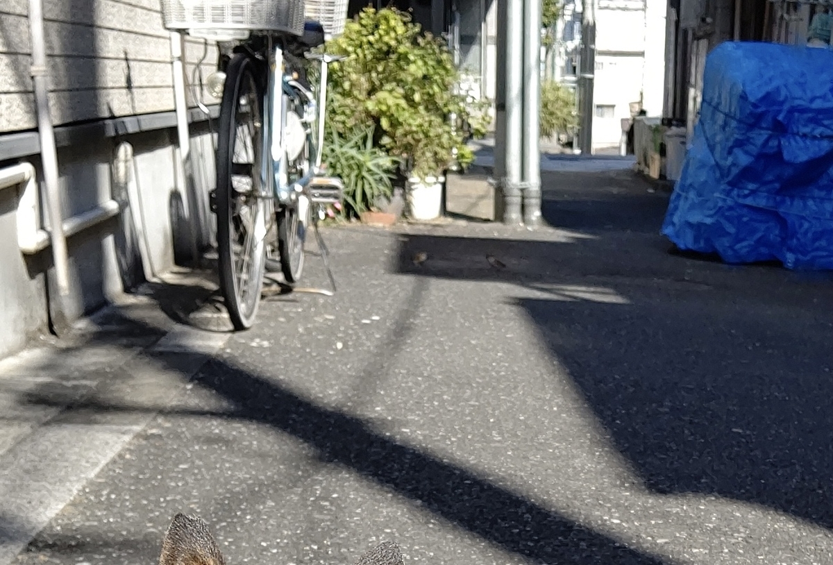 f:id:mikyo-ya:20220224084024j:plain