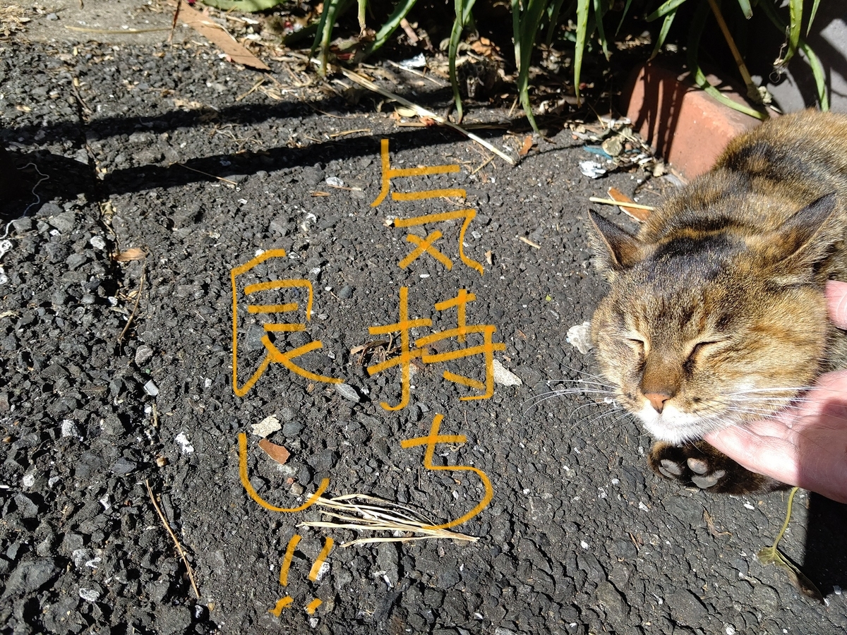f:id:mikyo-ya:20220228090342j:plain