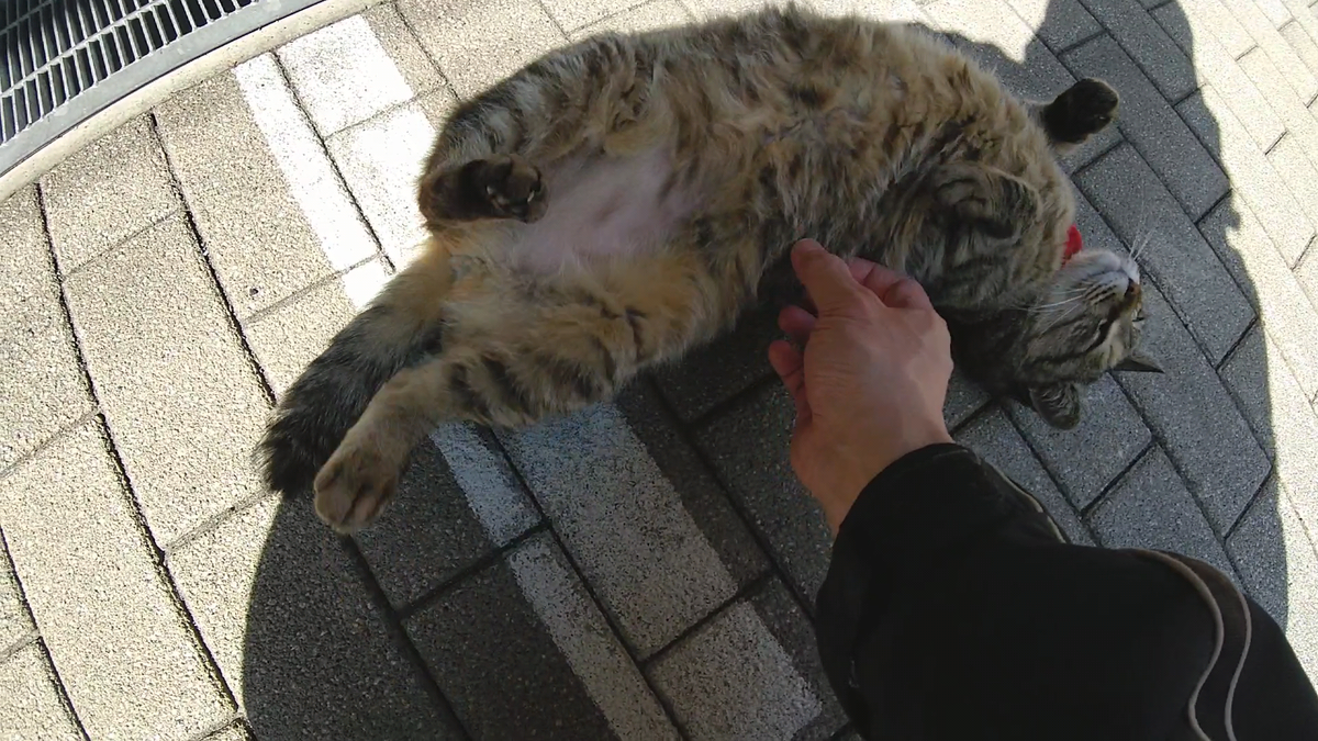f:id:mikyo-ya:20220318083948p:plain