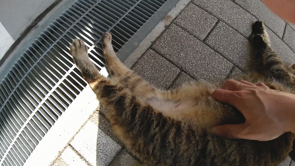 f:id:mikyo-ya:20220318084039p:plain