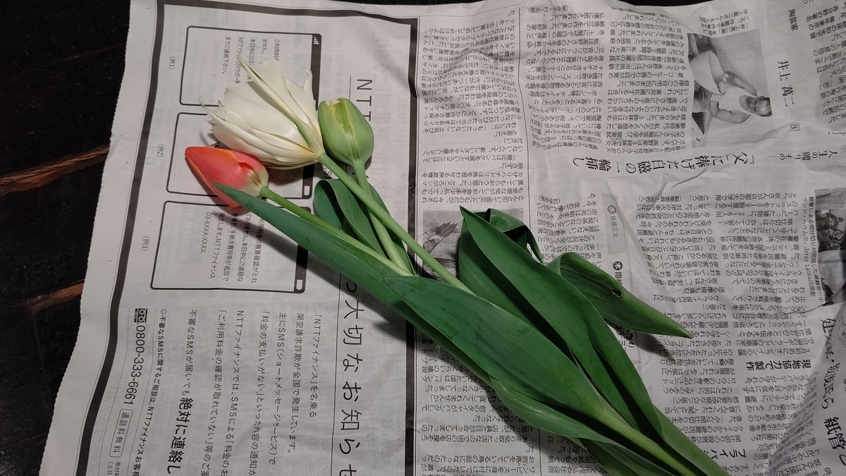 f:id:mikyo-ya:20220331083159j:plain