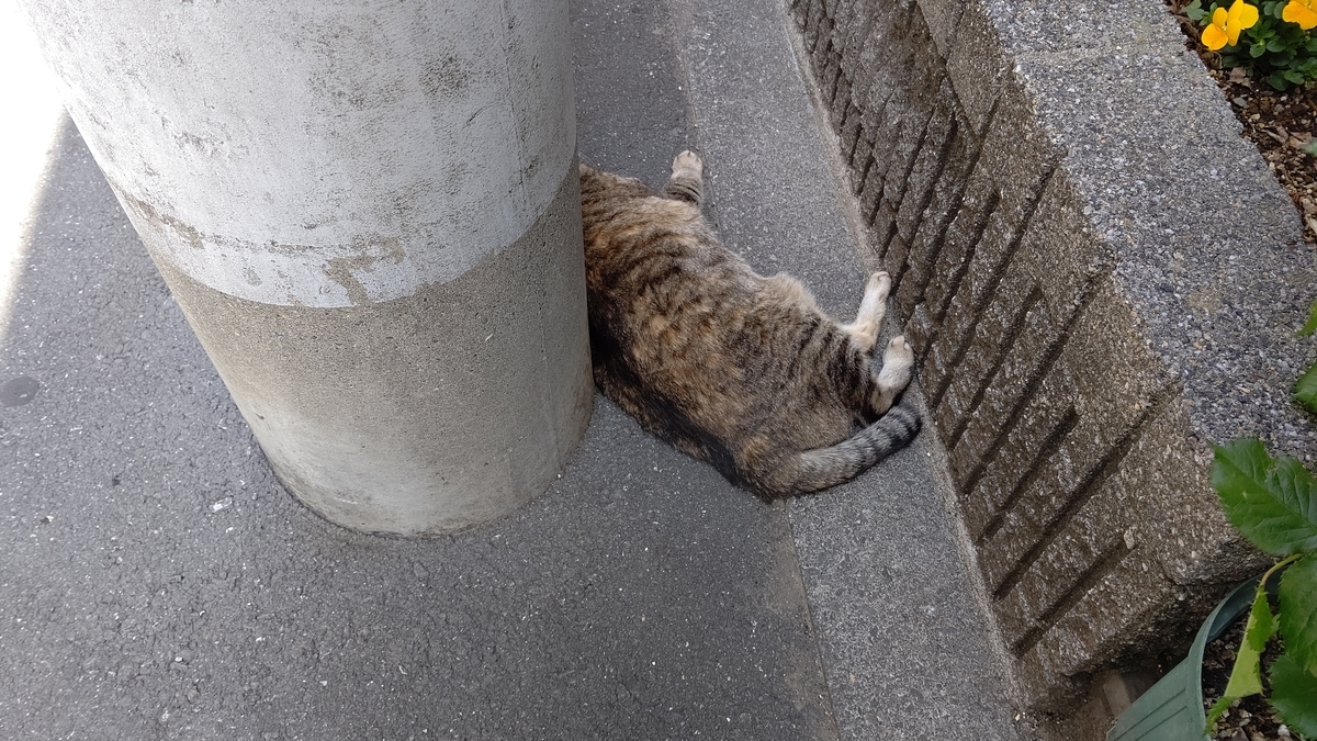 f:id:mikyo-ya:20220411090618j:plain