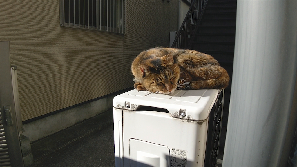 f:id:mikyo-ya:20221228100245p:image f:id:mikyo-ya:20221228100245p:image