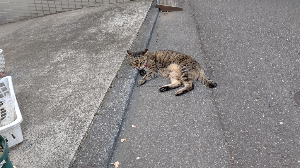 f:id:mikyo-ya:20230517095459j:image f:id:mikyo-ya:20230517095459j:image