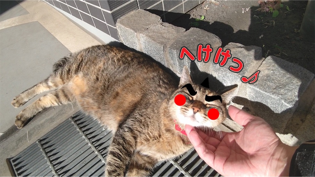 f:id:mikyo-ya:20230615084249j:image f:id:mikyo-ya:20230615084249j:image