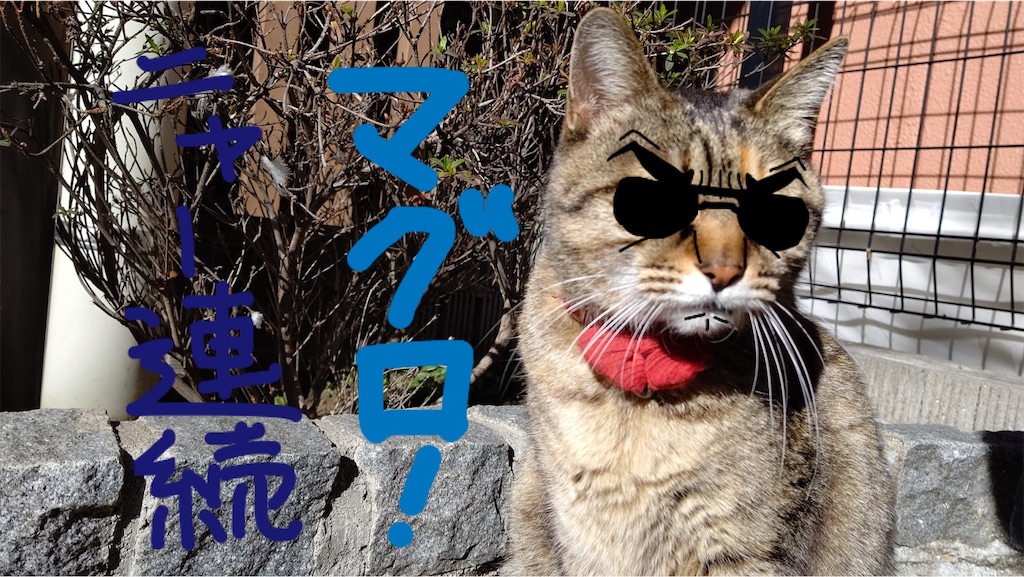 f:id:mikyo-ya:20231023193623j:image