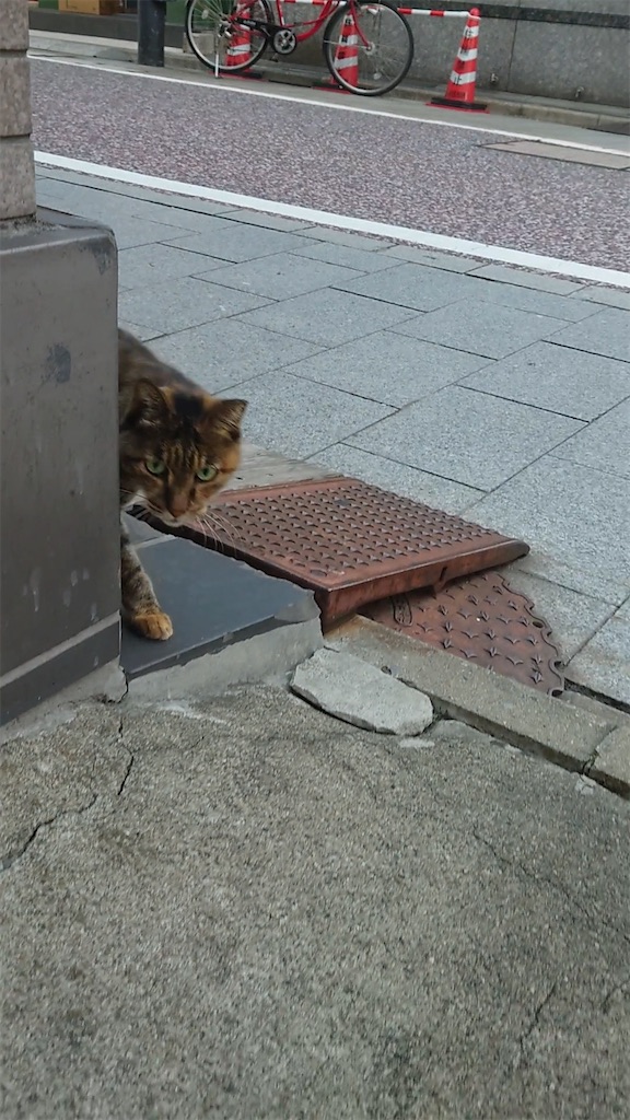 f:id:mikyo-ya:20231025174649j:image