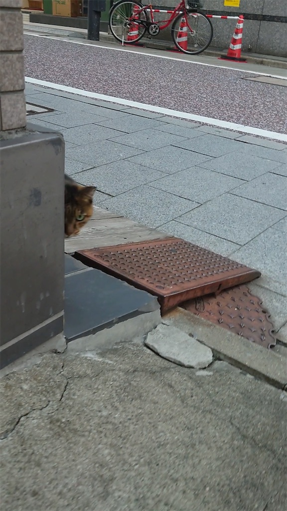 f:id:mikyo-ya:20231025174652j:image