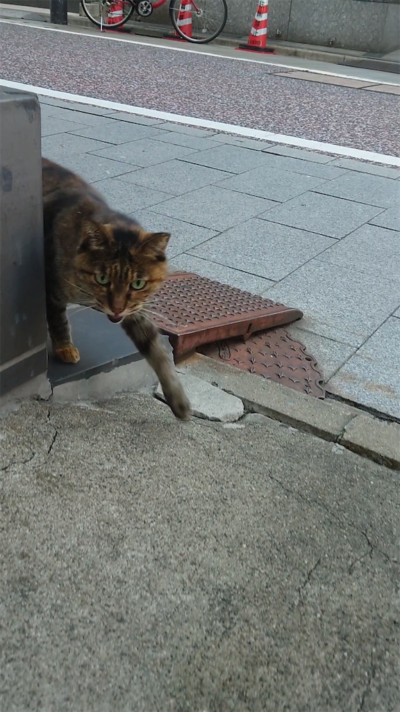 f:id:mikyo-ya:20231025174656j:image