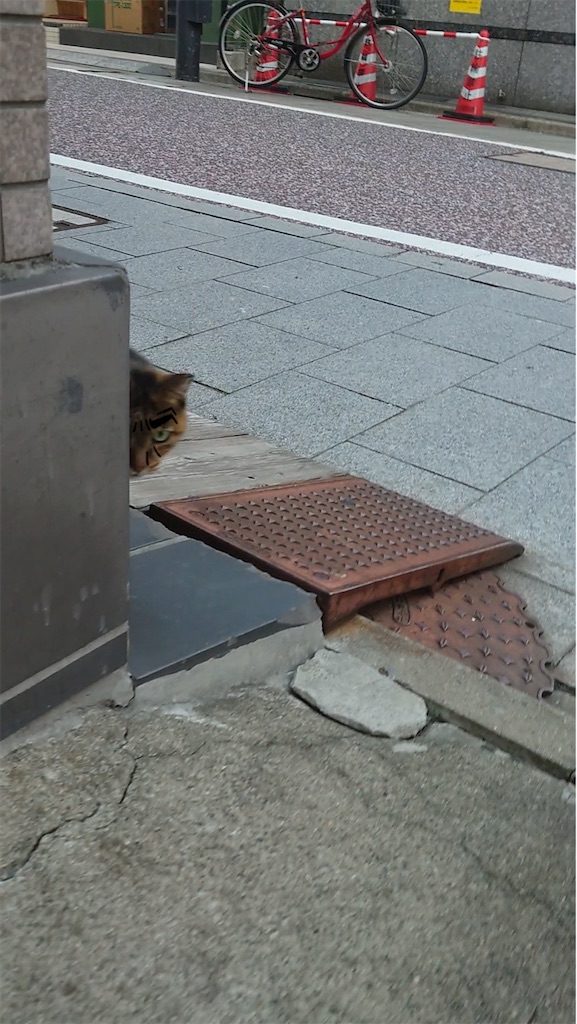 f:id:mikyo-ya:20231025175343j:image