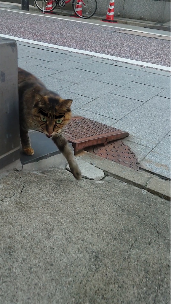 f:id:mikyo-ya:20231025175346j:image