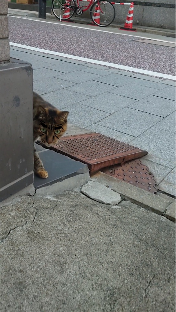 f:id:mikyo-ya:20231025175350j:image