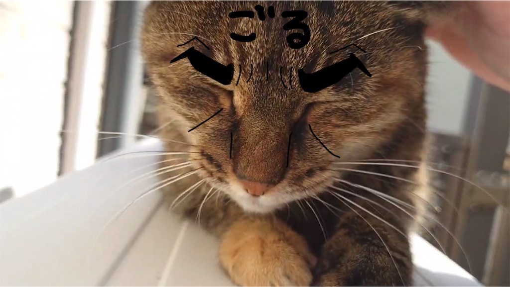 f:id:mikyo-ya:20231127201139j:image