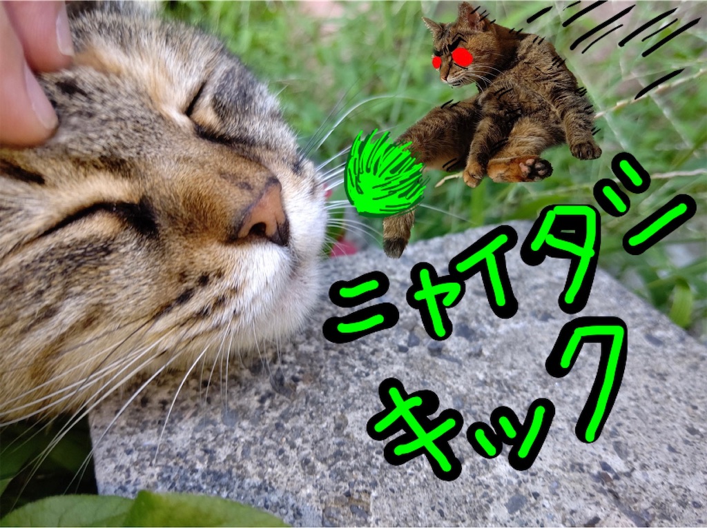 f:id:mikyo-ya:20231205172523j:image
