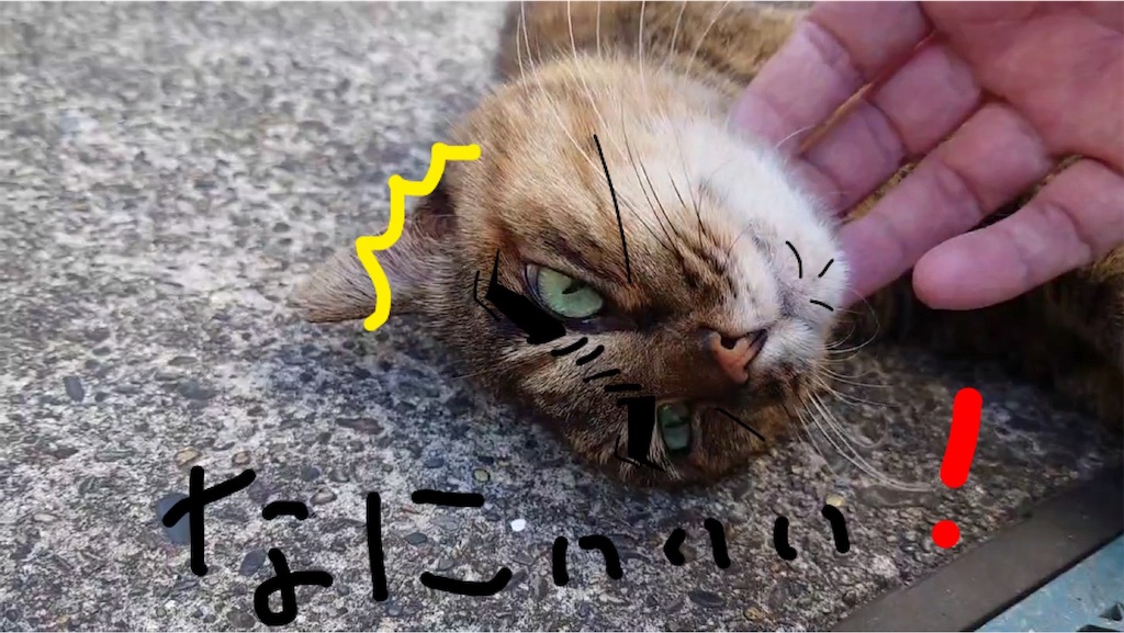f:id:mikyo-ya:20231215093512j:image