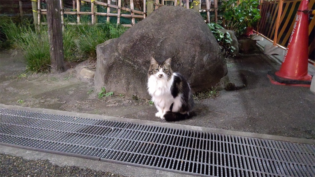 f:id:mikyo-ya:20240109191929j:image f:id:mikyo-ya:20240109191929j:image