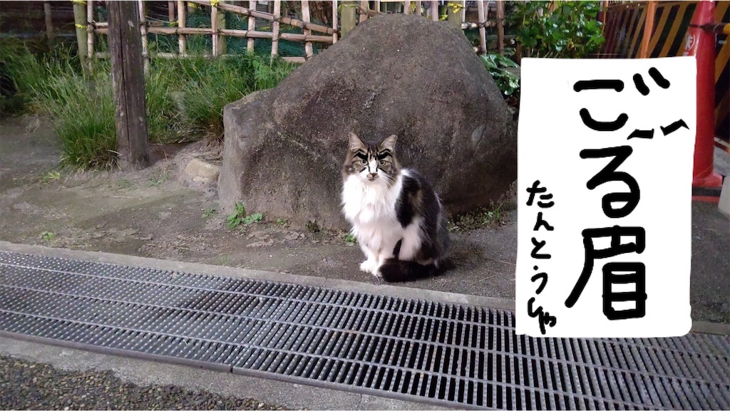 f:id:mikyo-ya:20240109222246j:image f:id:mikyo-ya:20240109222246j:image