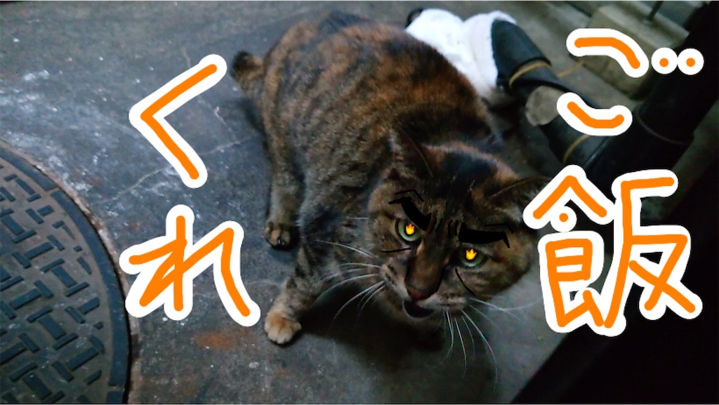 f:id:mikyo-ya:20240131173333j:image