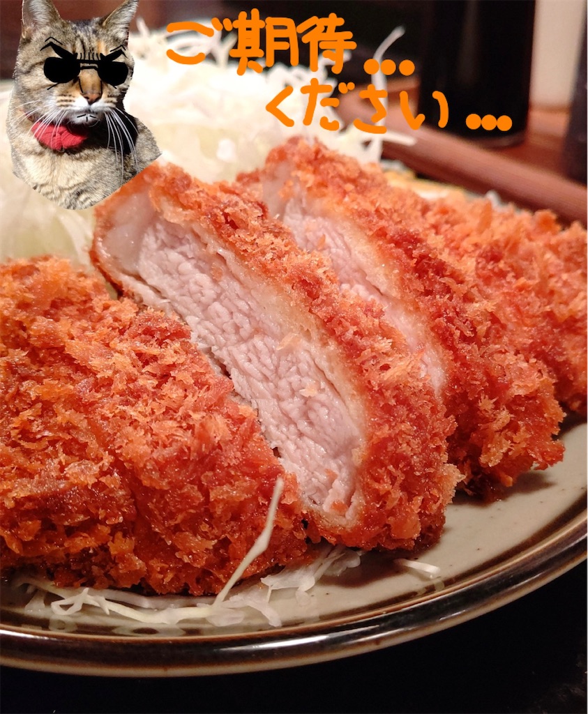 f:id:mikyo-ya:20240131180630j:image