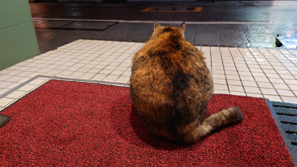 f:id:mikyo-ya:20240205194545j:image