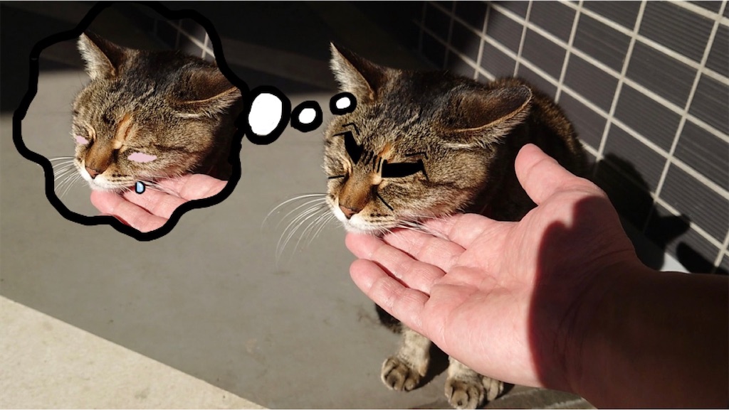 f:id:mikyo-ya:20240214172322j:image f:id:mikyo-ya:20240214172322j:image