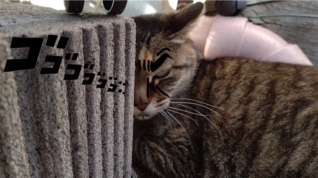 f:id:mikyo-ya:20240221184208j:image