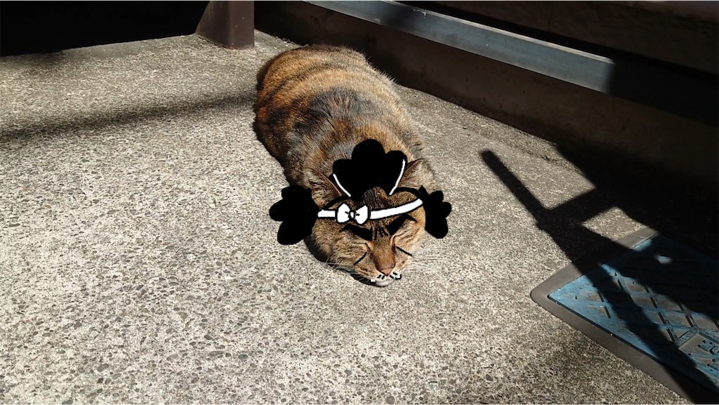 f:id:mikyo-ya:20240307185200j:image f:id:mikyo-ya:20240307185200j:image