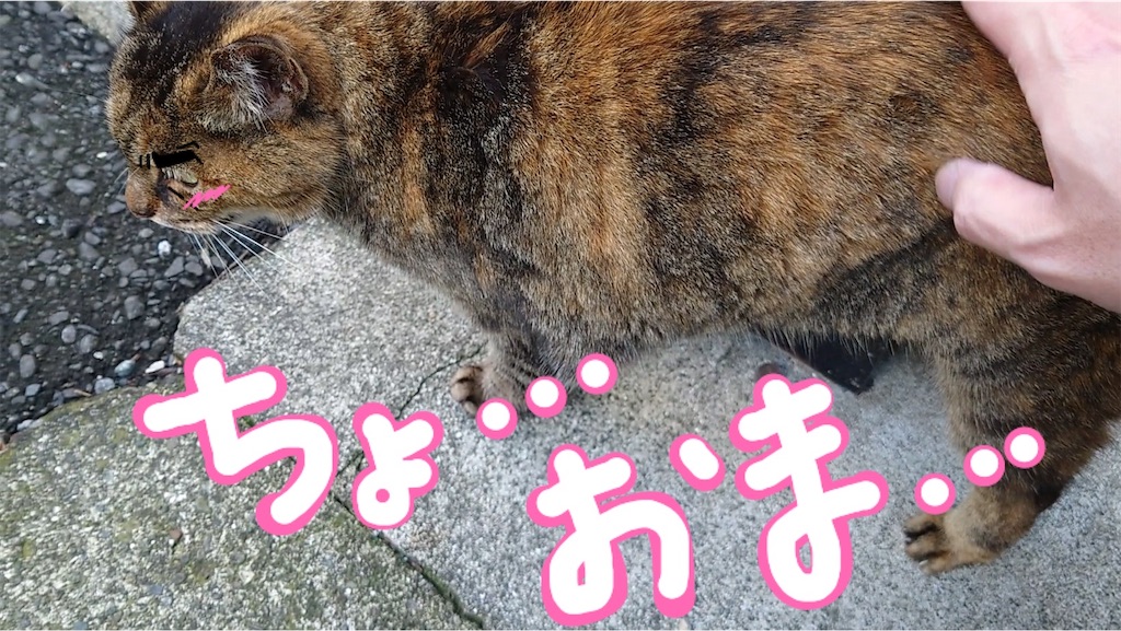 f:id:mikyo-ya:20240402112057j:image f:id:mikyo-ya:20240402112057j:image