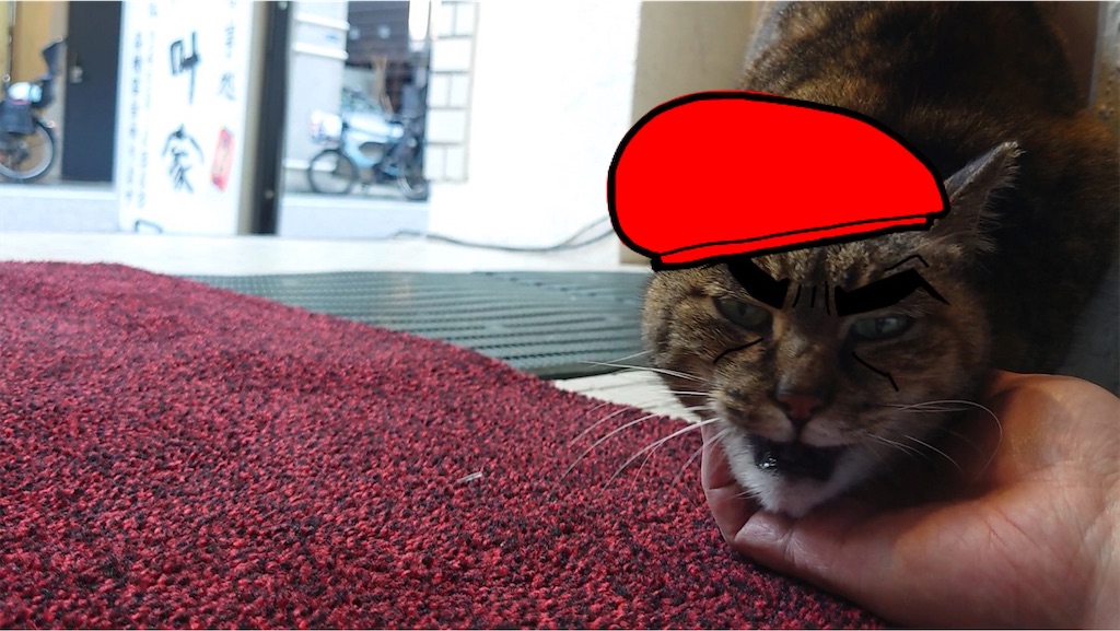 f:id:mikyo-ya:20240403165805j:image