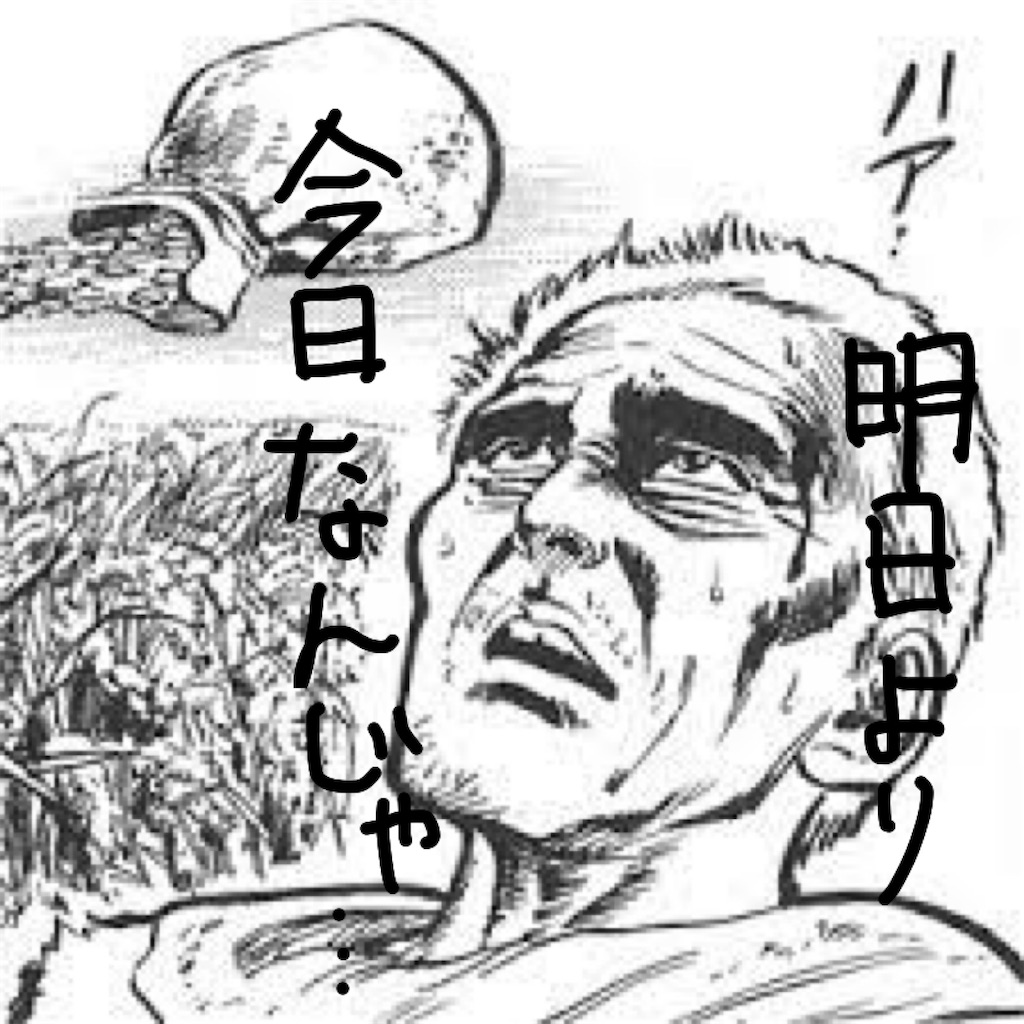 f:id:mikyo-ya:20240510084831j:image f:id:mikyo-ya:20240510084831j:image