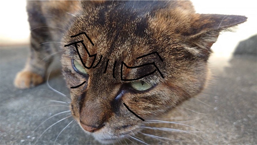 f:id:mikyo-ya:20241125091110j:image f:id:mikyo-ya:20241125091110j:image
