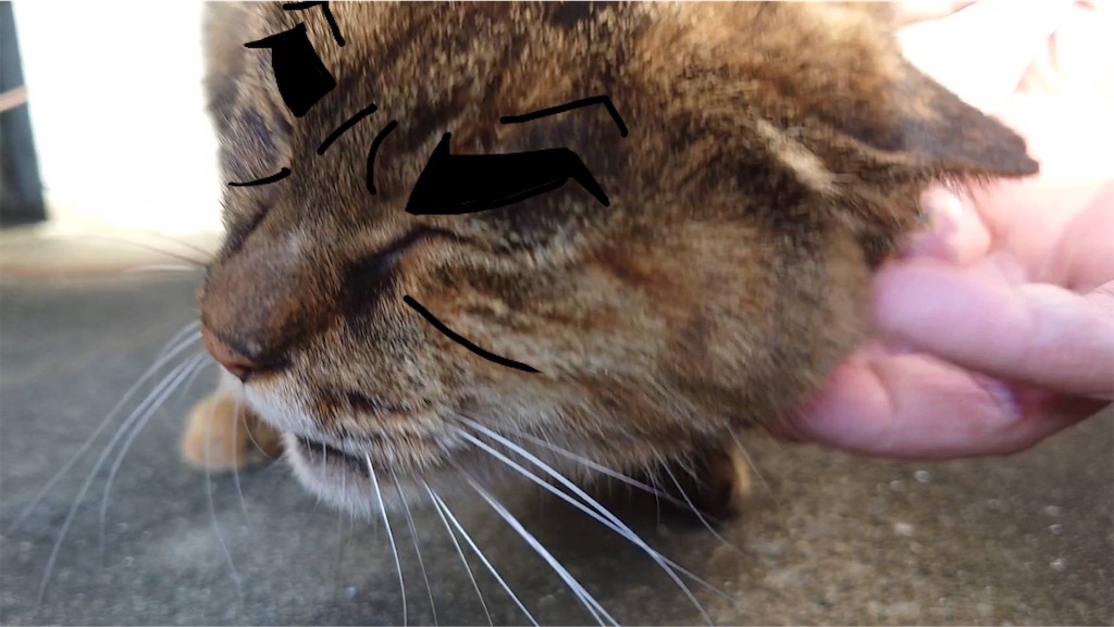 f:id:mikyo-ya:20241125091114j:image f:id:mikyo-ya:20241125091114j:image