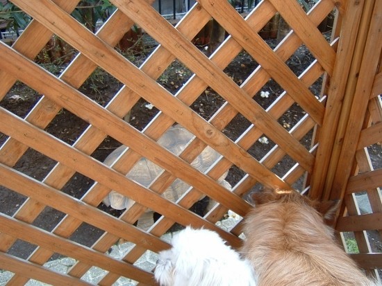 f:id:milan802:20210216001804j:plain