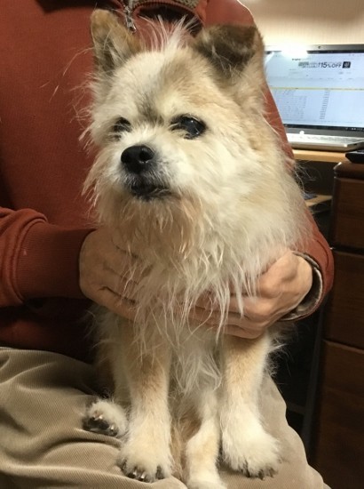 f:id:milan802:20210419001339j:plain