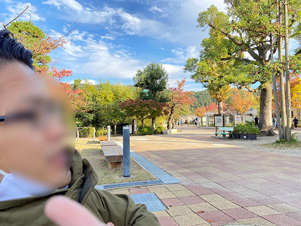 f:id:milcaworld:20201107143406j:plain