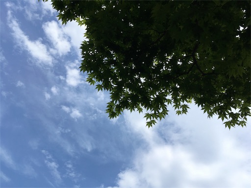 f:id:mild420:20180531175435j:image
