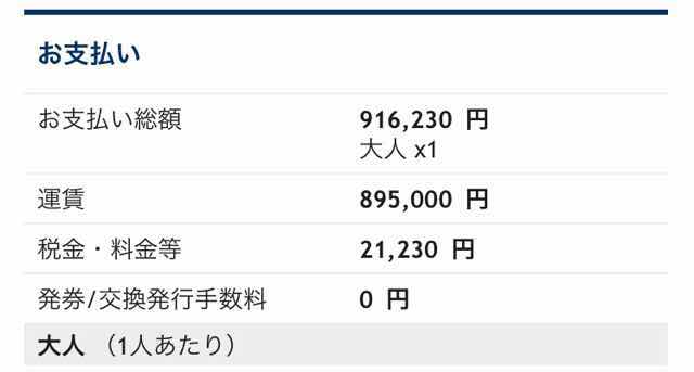 ANAビジネスクラスでパリに行く場合