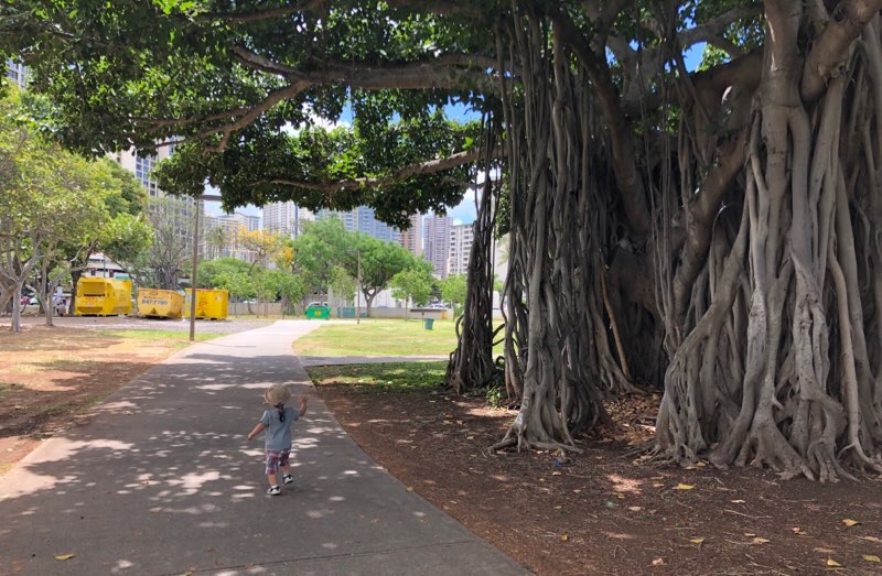 f:id:mile-de-hawa111:20190717115113j:plain ハワイのアラモアナ公園