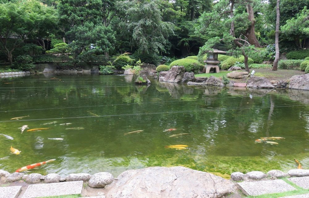 さくらタワー東京