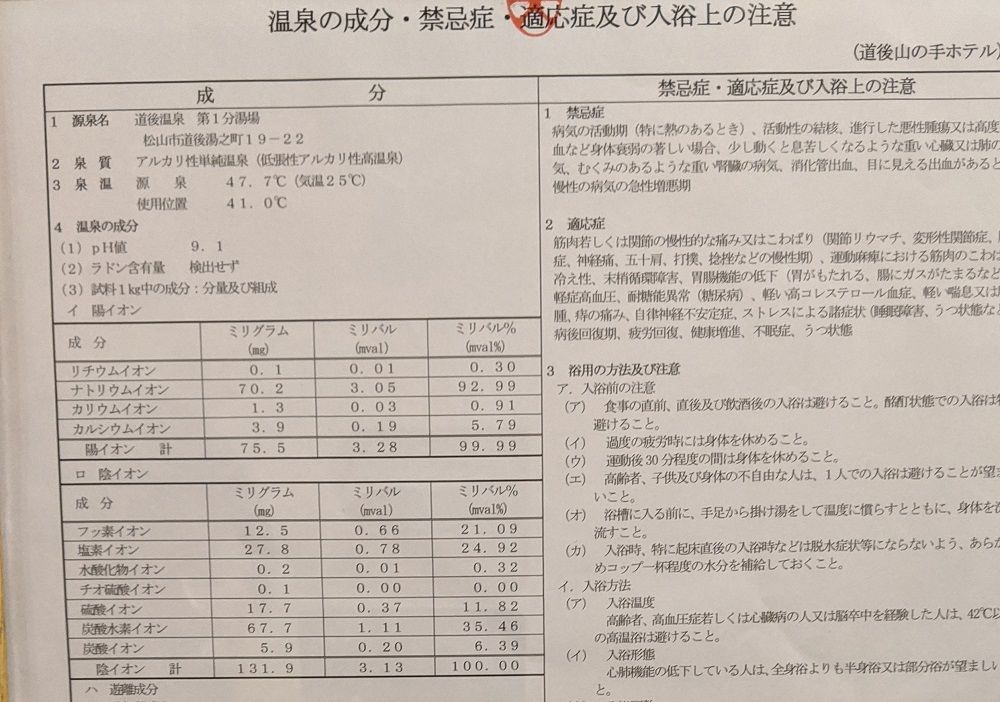 道後山の手ホテル