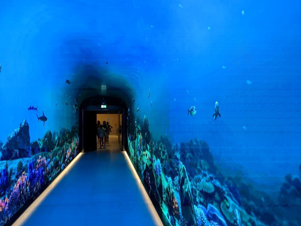 パーム・ジュメイラ